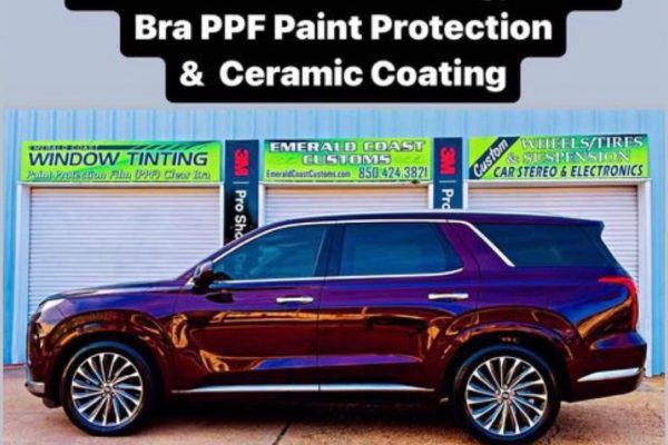 801628385-63af47bb-2d78-43d1-be04-06b20f3c34ab